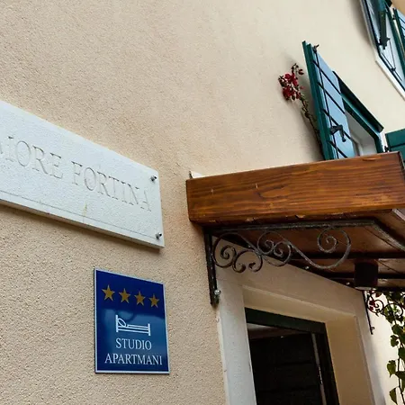 Gostinjska kuća Fortina 4*